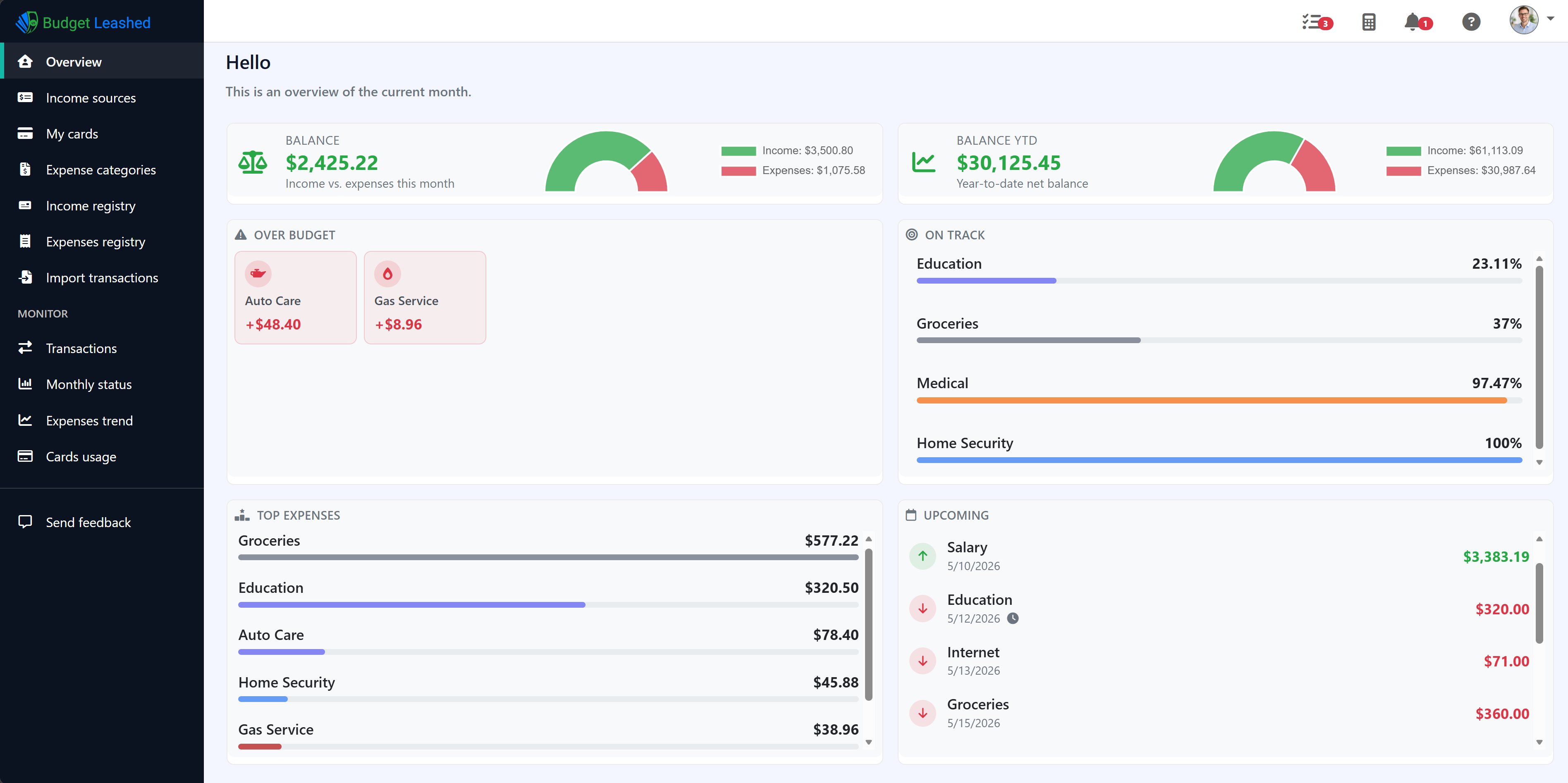 Budget Leashed dashboard overview showing income and expense tracking